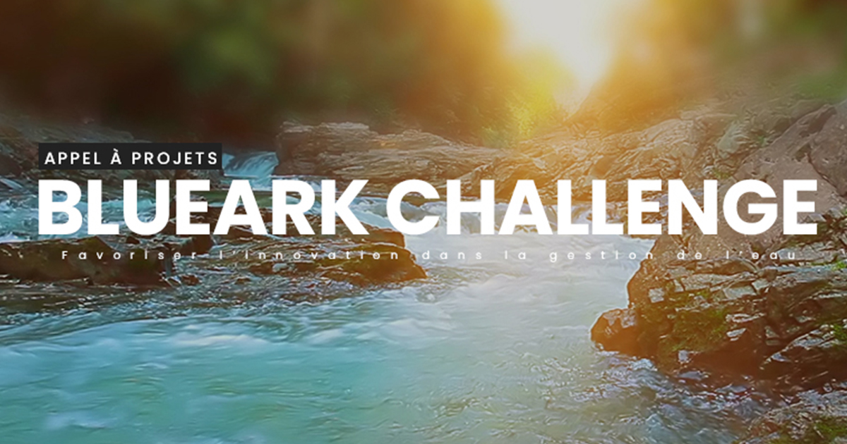 (c) Blueark-challenge.ch